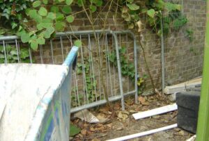 BLACKHEATH Japanese Knotweed Removal