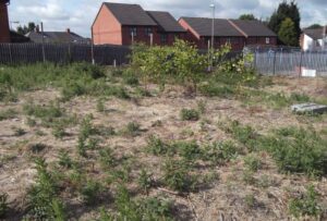 FORMER ARMITAGE SHANKS Japanese Knotweed Barrier
