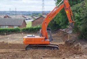 SHEFFIELDJapanese Knotweed