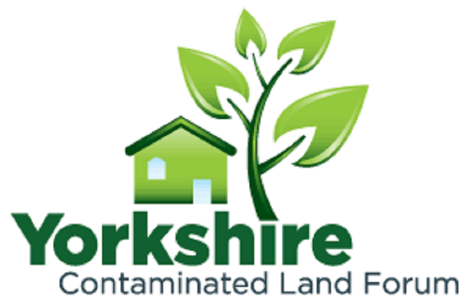 YCLF Steering Group logo